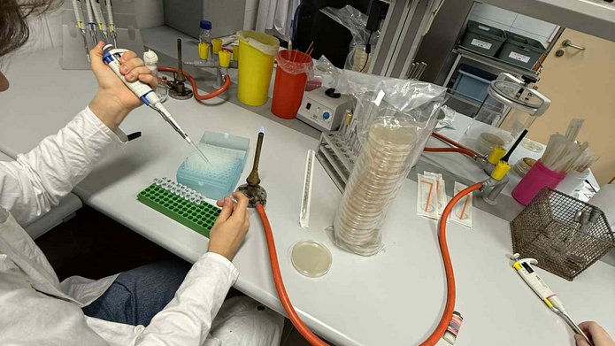 praca w laboratorium